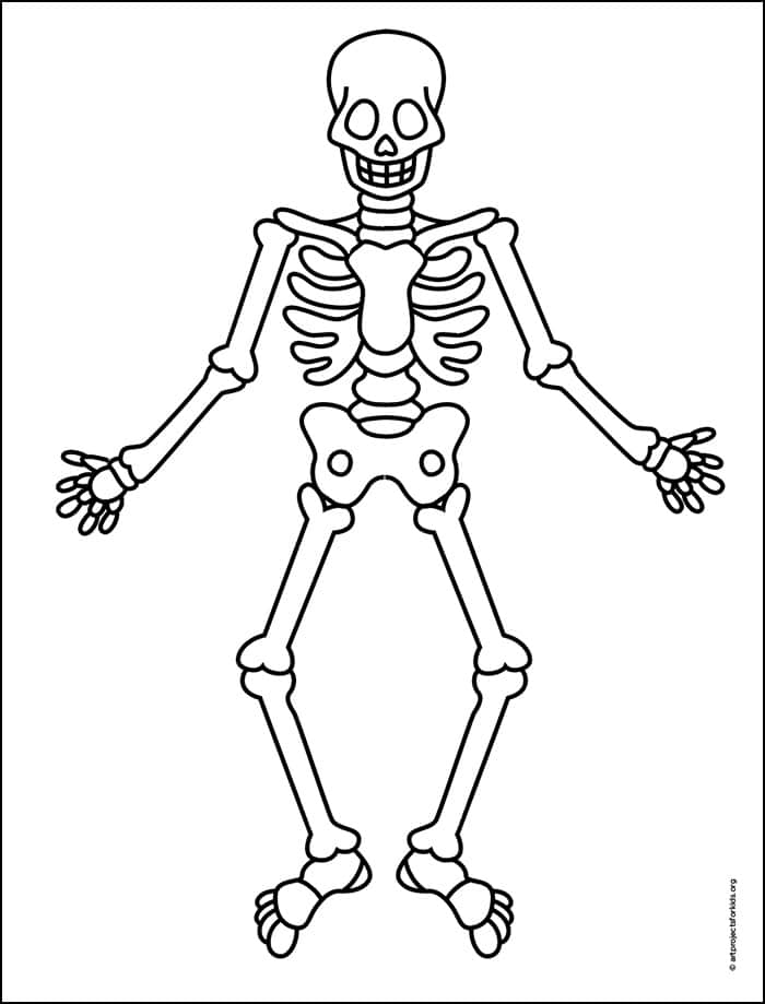 Free Axial Skeleton Coloring Pages