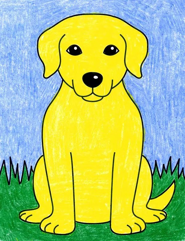 Easy How to Draw a Labrador Tutorial and Labrador Coloring Page