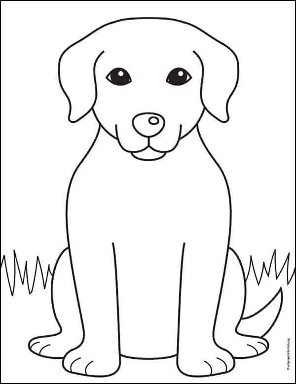 Easy How to Draw a Labrador Tutorial and Labrador Coloring Page