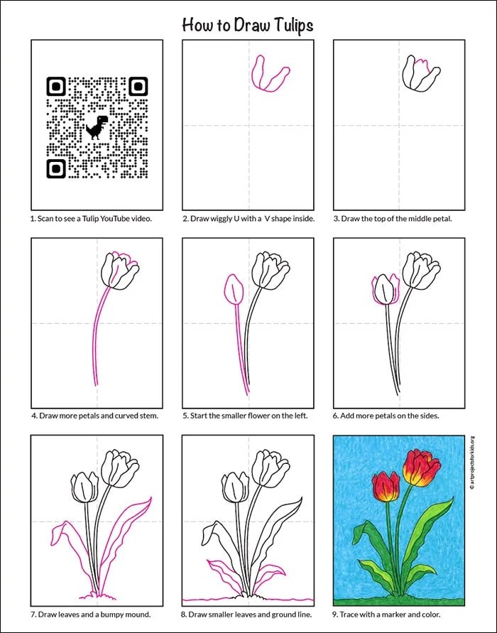 Tulip Drawing Step By Step