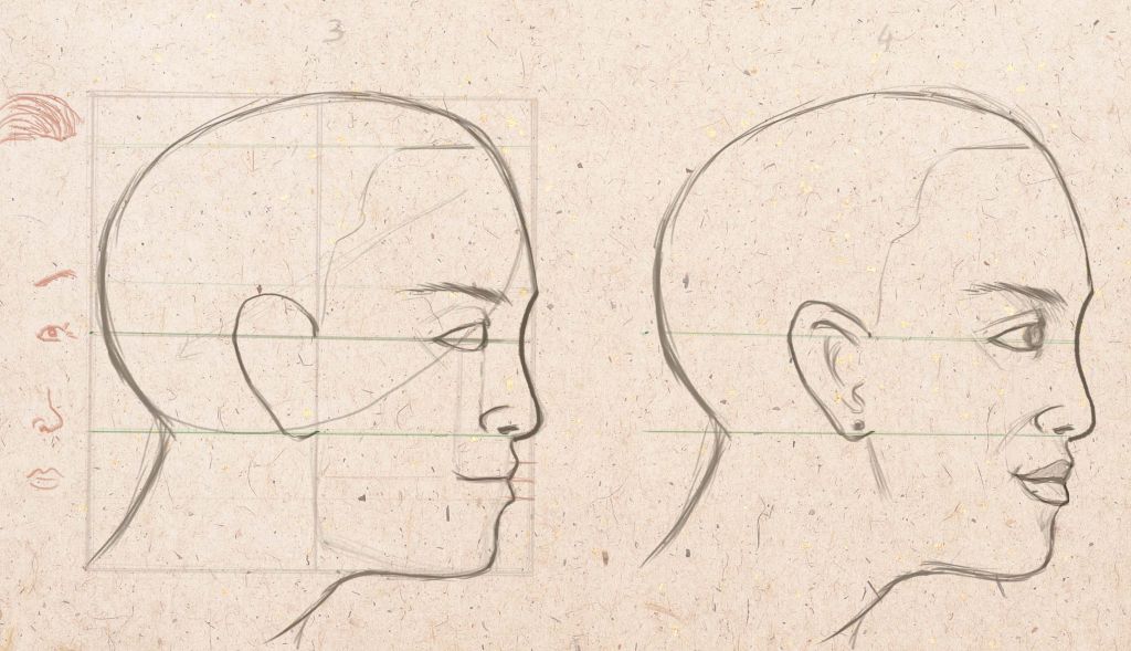 как рисовать человека в полупрофиль