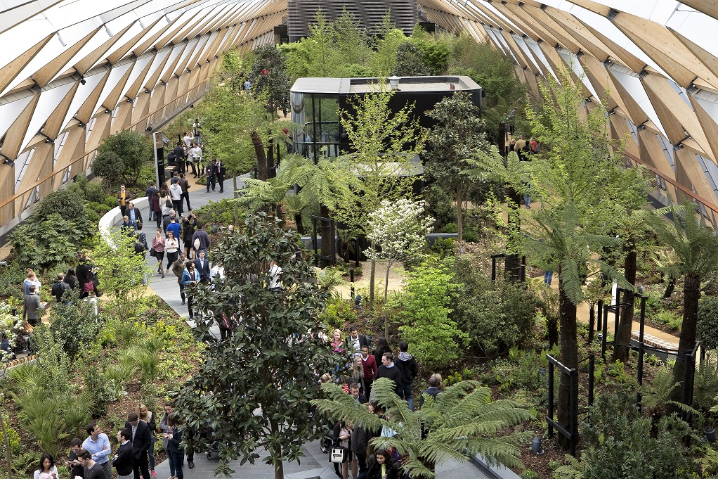 Bloom & Grow Canary Wharf Arts & Gardens