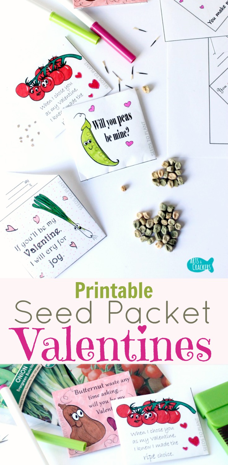 Printable Seed Packet Valentines NonCandy Valentines