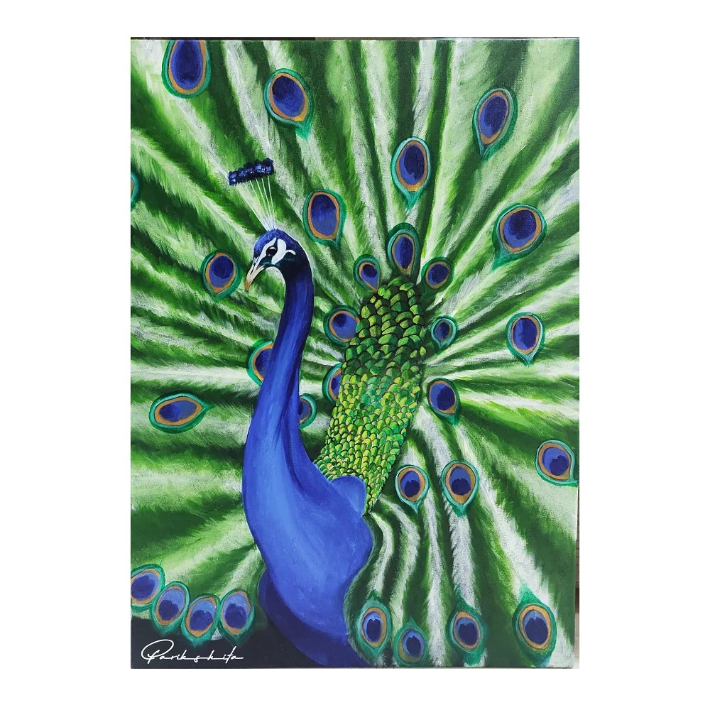 Peacock Acrylic Paintings