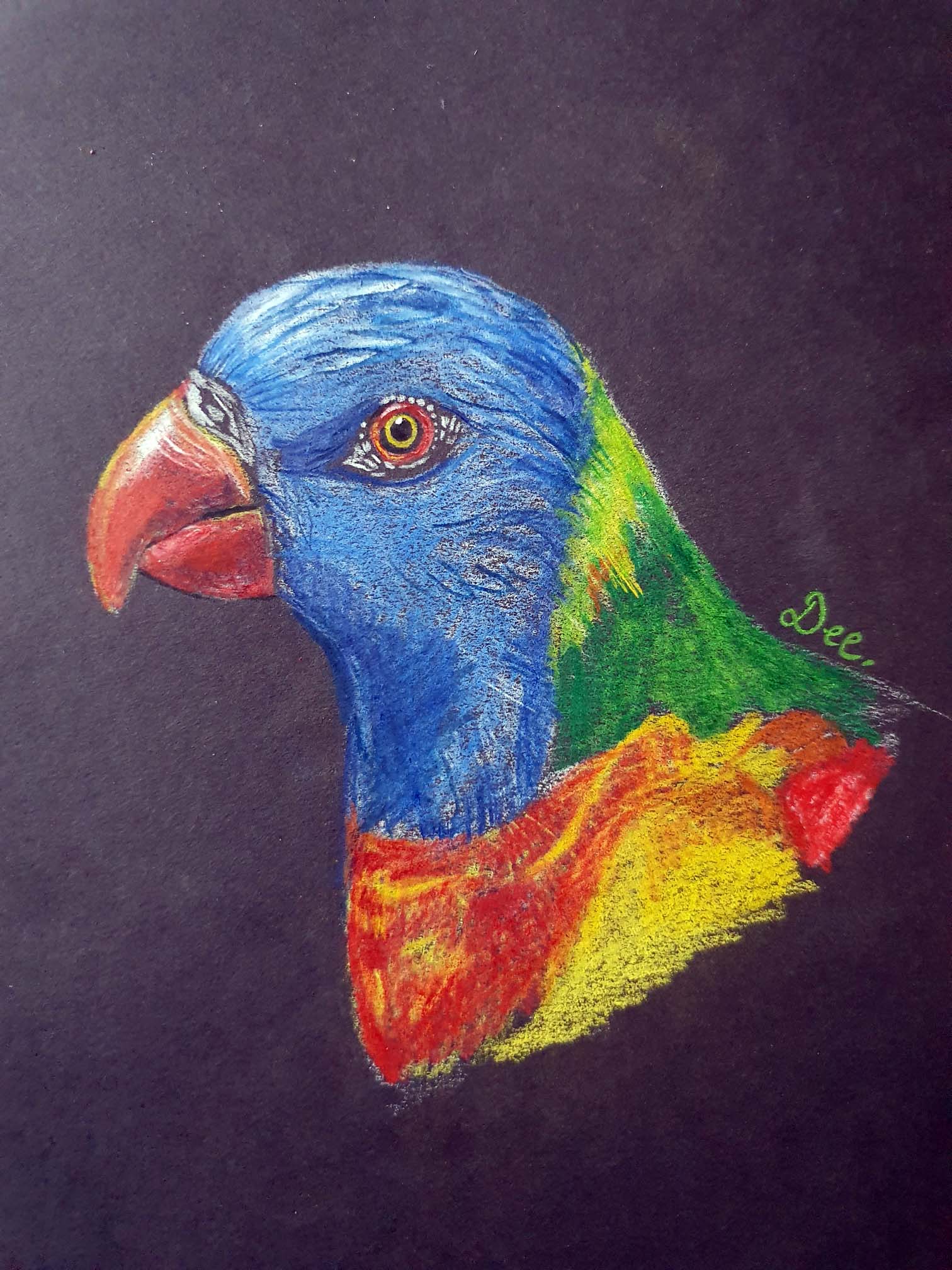 The Ultimate Beginners Guide for Drawing on Black Paper with Colored Pencils Artsydee