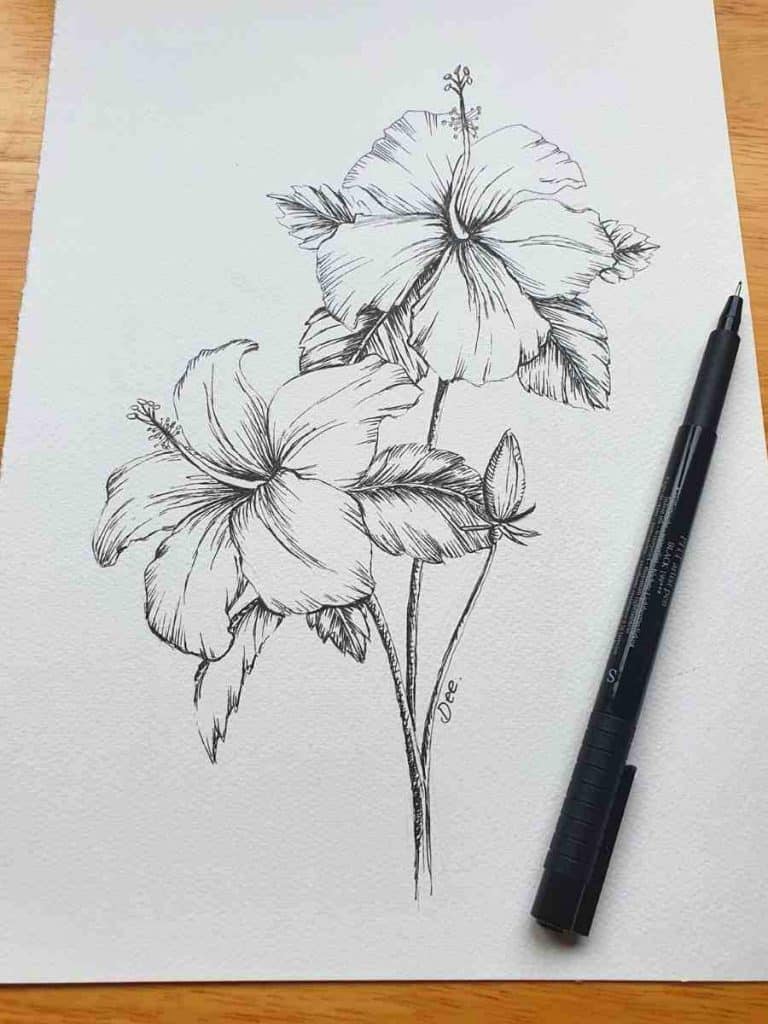 Draw A Hibiscus Flower And Label Its Parts Best Flower Site