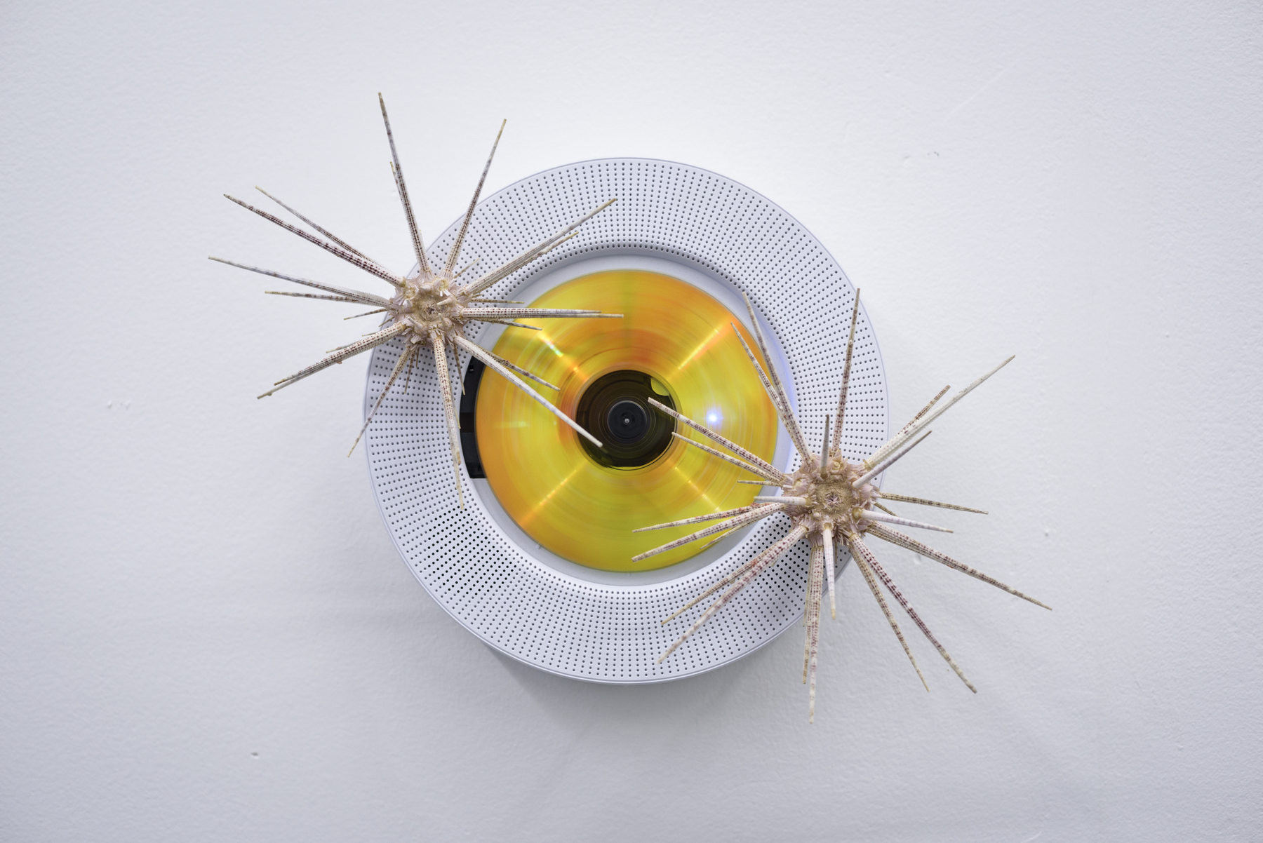 Mexico City Art Viewer