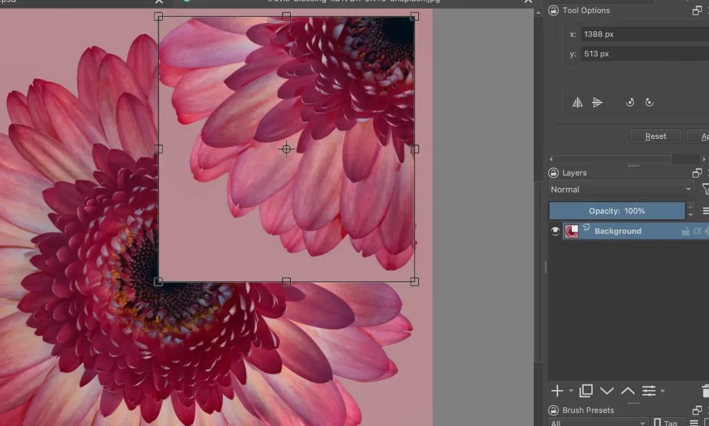How to Use Mirror or Symmetry Tool in Krita Artwork Path