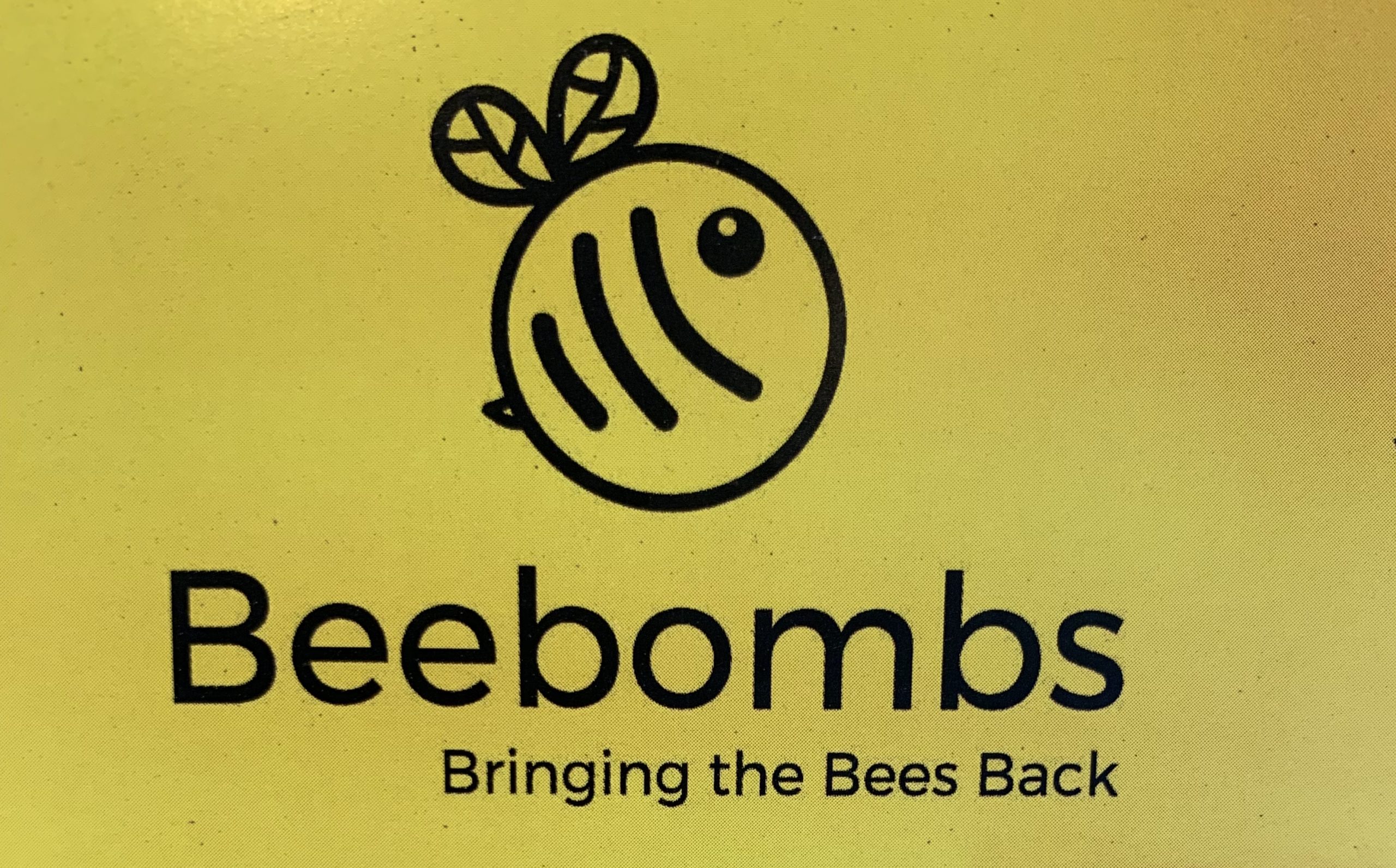 Beebombs Arty Heaven