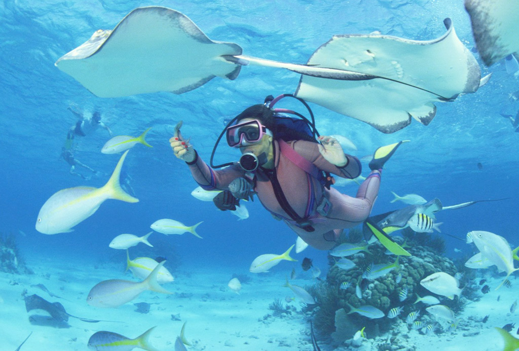 arubadiving Aruban Adventures