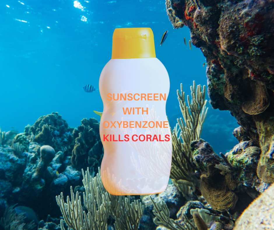 Protecting Paradise The Importance of ReefFriendly Sunscreen in Aruba