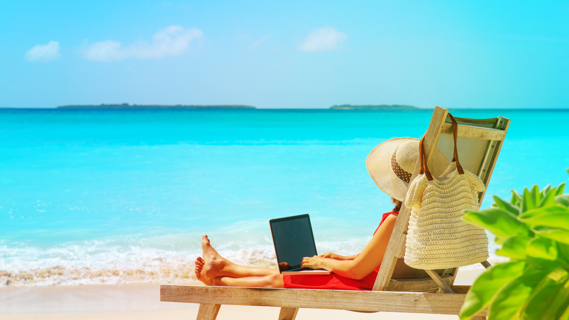 Top Places to Work Remotely in Aruba WorkCation Arubapapers