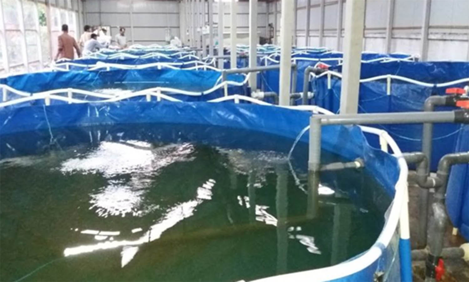 Biofloc Fish Farming Government Training Farm House