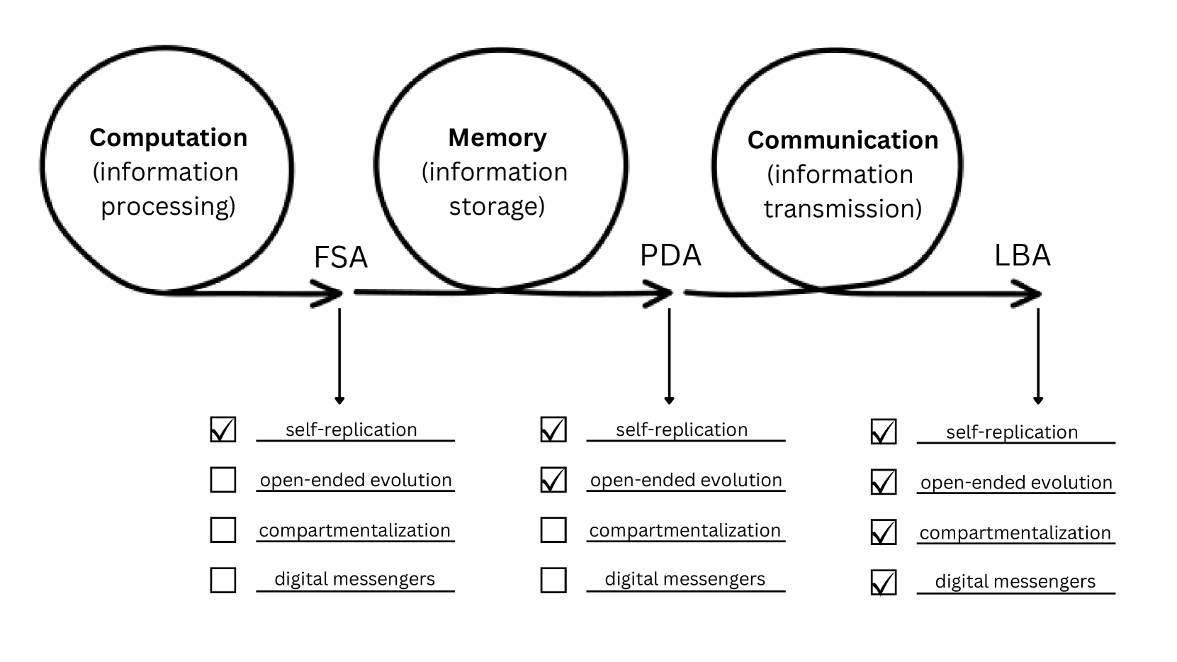 Computational Life How Wellformed, Selfreplicating Programs Emerge