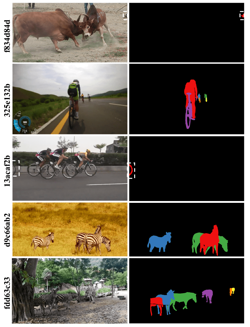 1st Place Solution for MOSE Track in CVPR 2024 PVUW Complex