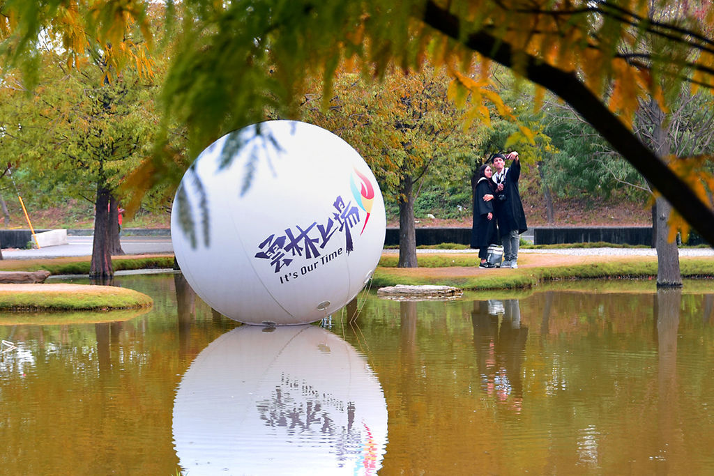 雲林落羽松【青埔落羽松秘境】鄰近虎尾鐵橋