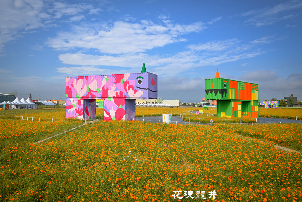 【花現龍井】龍井迎百年風華，金色花海與萌獸共舞！