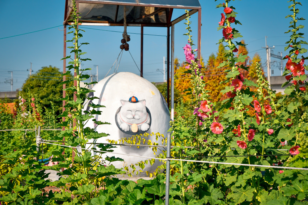 彰化景點【田中蜀葵花海藝術節季】田中窯創藝園區內