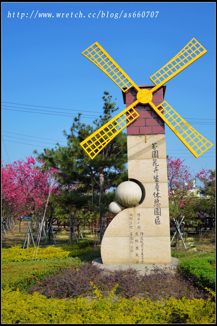 彰化芬園鄉景點))芬園花卉生產休憩園區_櫻花