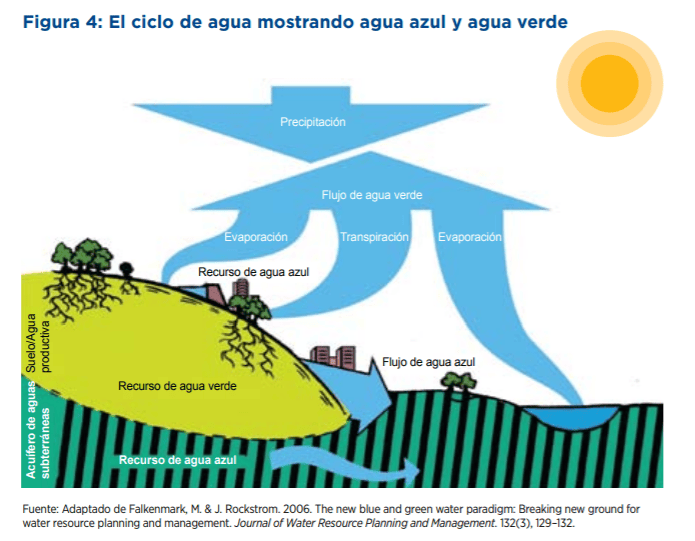 Cinco beneficios de favorecer el ciclo del agua para la agricultura ASA