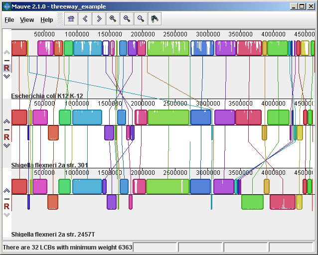 Genome Evolution Laboratory Using the Alignment Viewer
