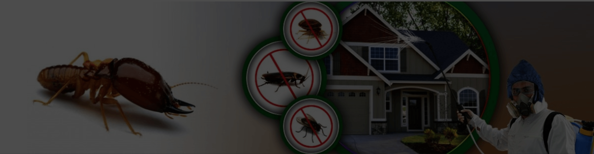 ASA Pest Control Saskatoon