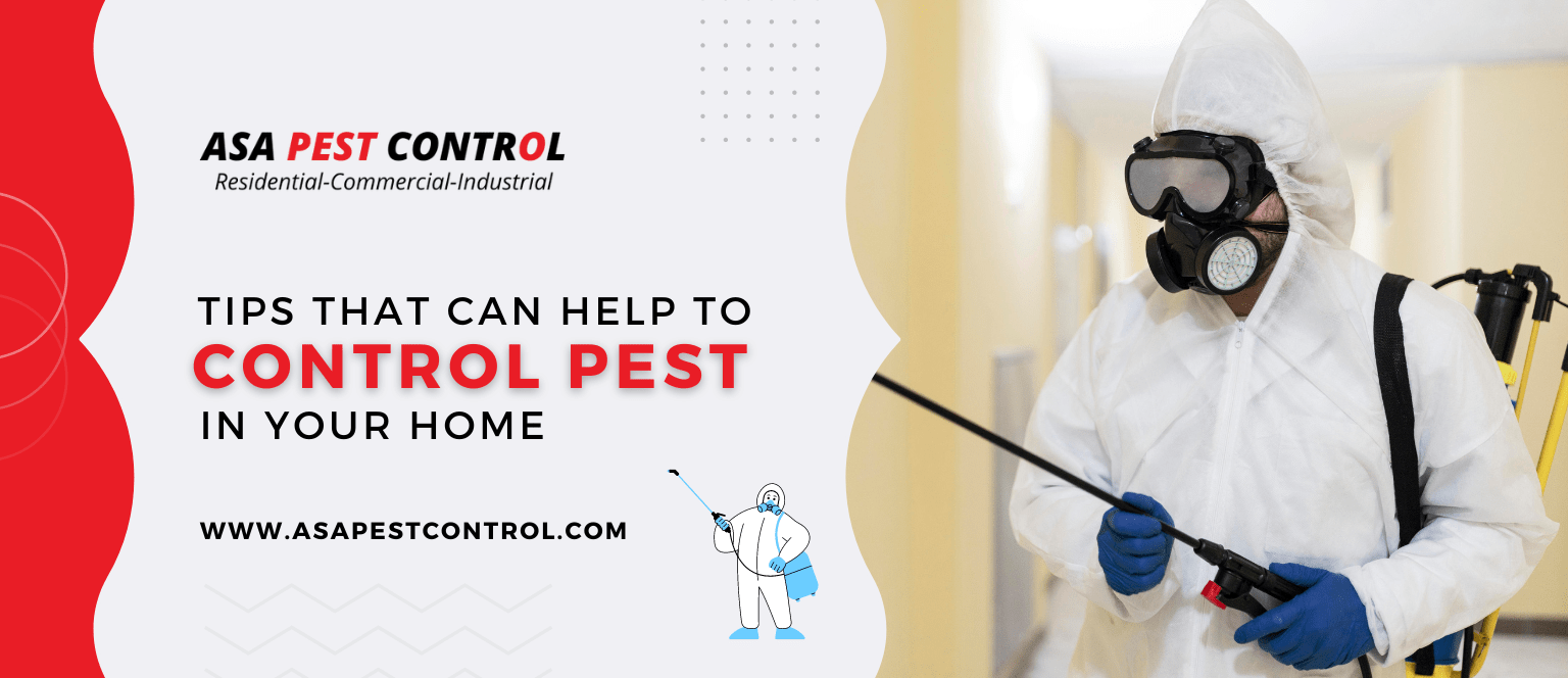 ASA Pest Control Saskatoon
