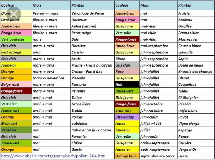 calendrier des couleurs de pollens Asapistra