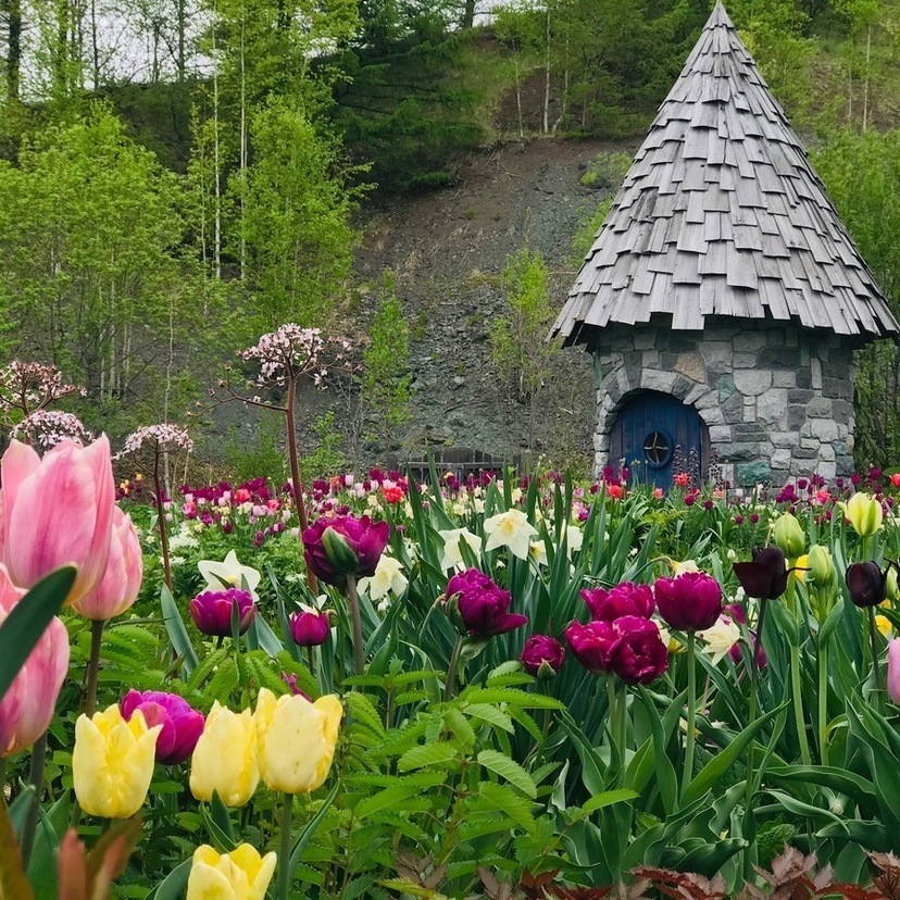 Ueno Farm's Garden is open, blooming and blowing all your worries away