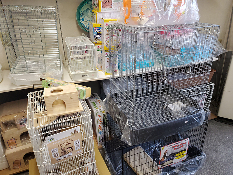 【犬猫以外のペットショップ】小動物・爬虫類などを扱う専門店 asatan