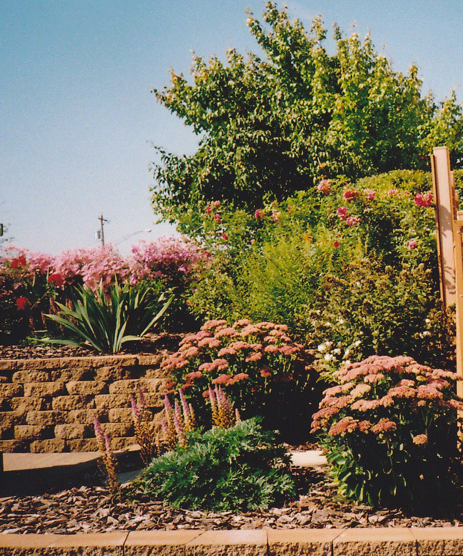 Asbury Garden Committee Asbury United Methodist Church Duluth