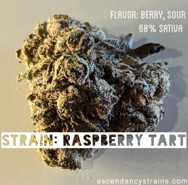 Berry Pop Tart Cannabis Strain Pictures And Details