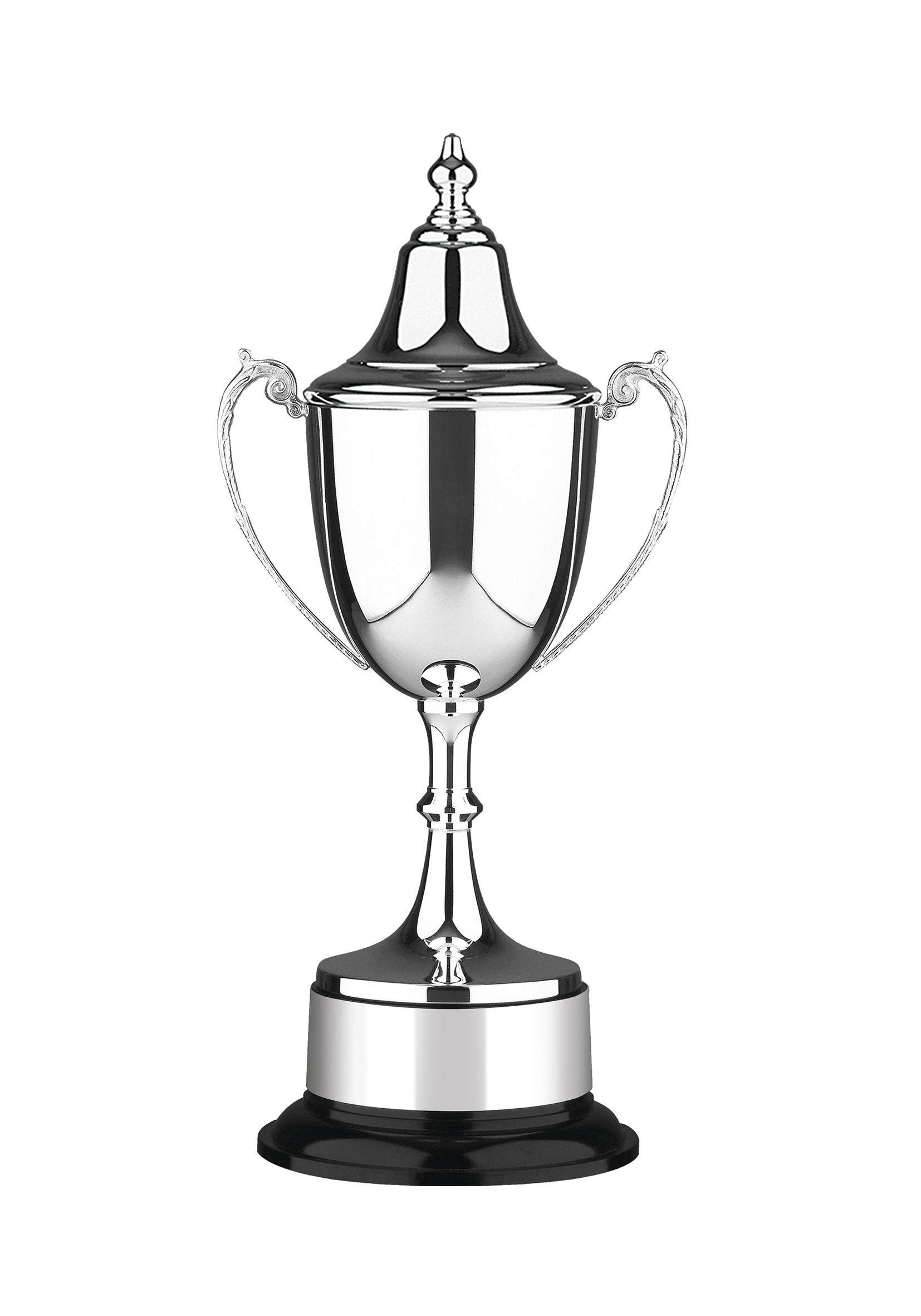 Traditional Silver Plated Cups Ascend Sales Trophy Cups for Sale
