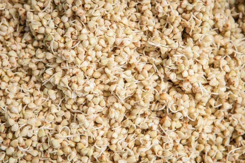Buckwheat Nutrition and Health Benefits Ascension Kitchen