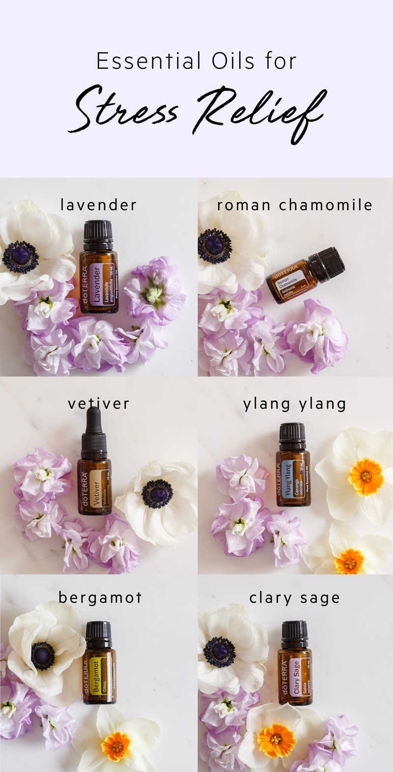 6 Best Essential Oils for Stress Ascension Kitchen