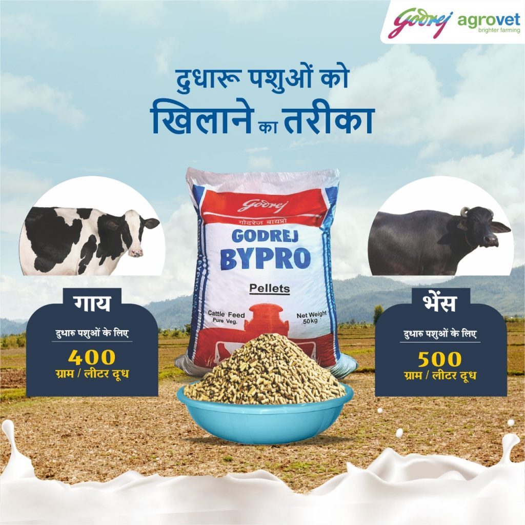 Social Media Marketing for the Cattle Feed Brand of Godrej Agrovet