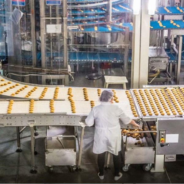 Processing Plants Ascent Machineries & Engg. Services