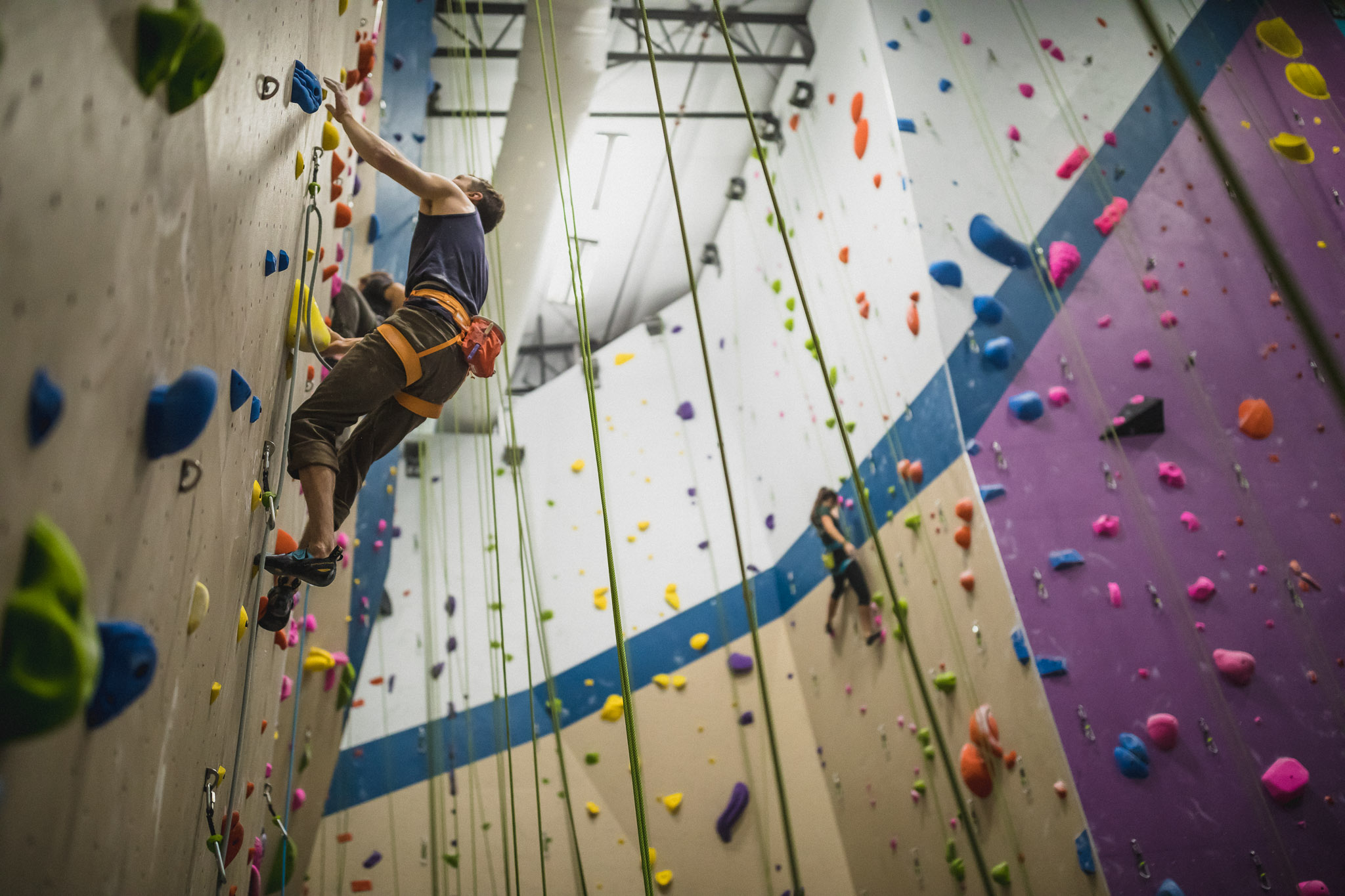 Ascent Studio Climbing & Fitness Fort Collins, CO