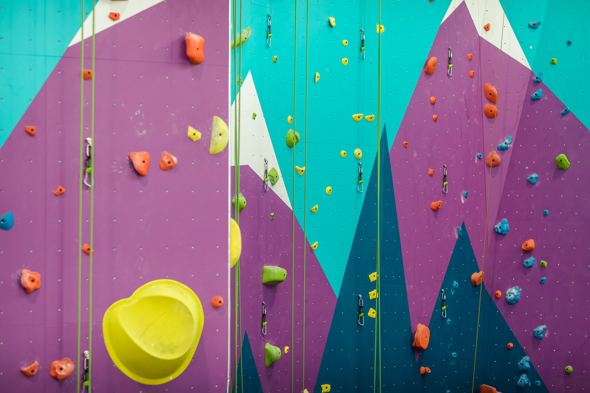 Ascent Studio Climbing & Fitness Fort Collins, CO