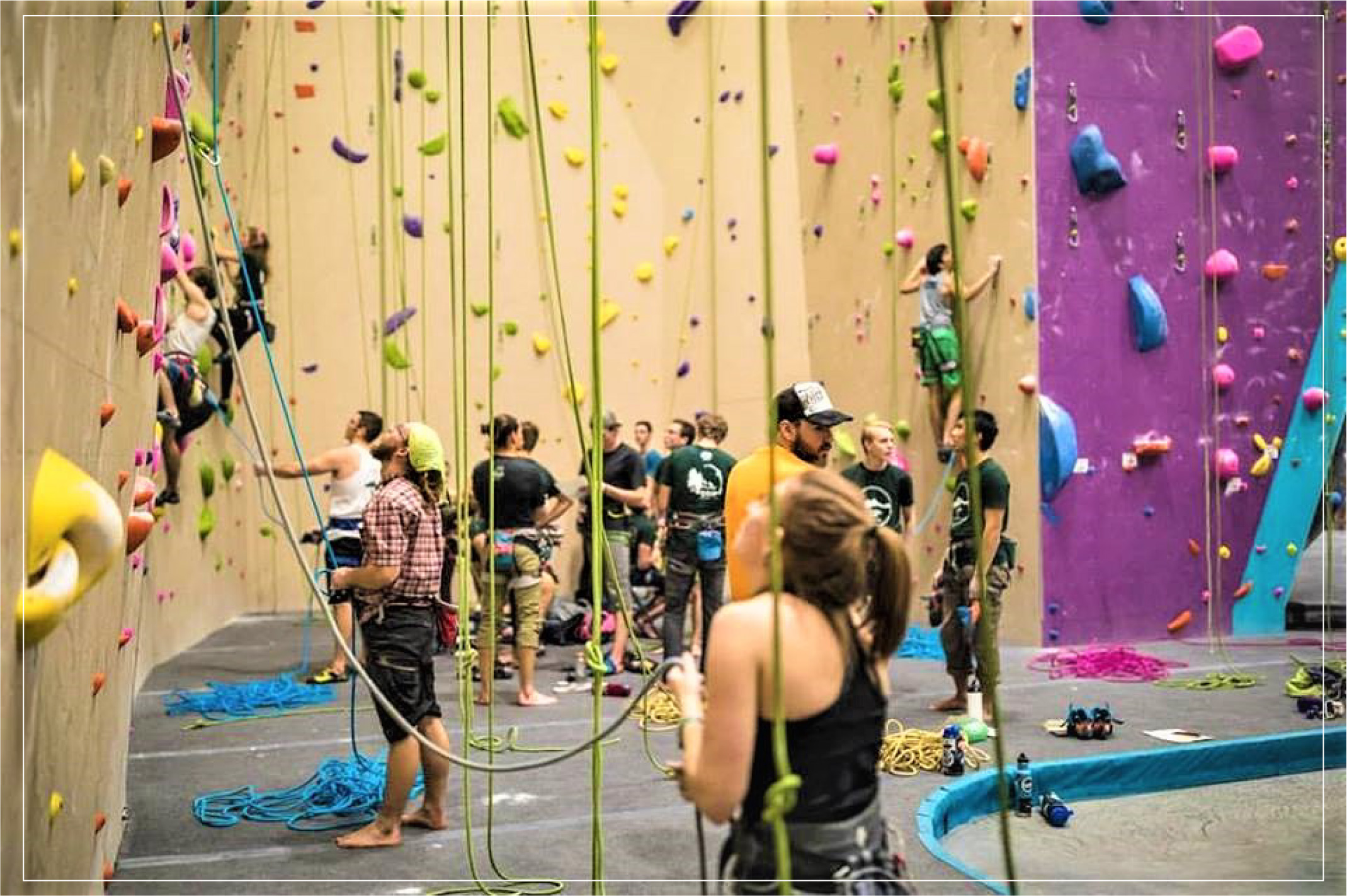 Ascent Studio Climbing & Fitness Fort Collins, CO