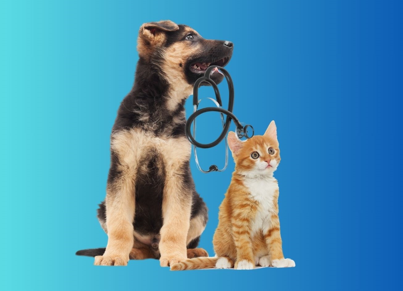 2024 SPAY AND NEUTER COUPON Animal Shelter and Care of Jefferson County