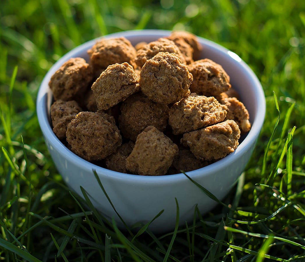 Prospect Heights Natural Dog Treats and Homemade Dog Food Ascot