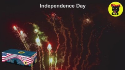 Black Cat Independence Day Single Ignition Firework 110 Shots