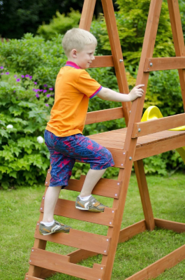 Plum Tamarin Wooden Play Centre Swings & Slides at ASDA