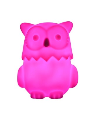 Home Colour Changing Owl Night Light Lighting at ASDA