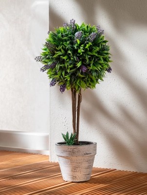 Topiary Potted Planter Outdoor & Garden at ASDA