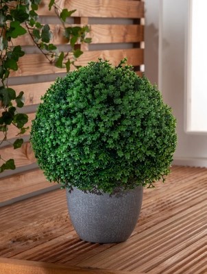Topiary Ball in Planter Outdoor & Garden at ASDA
