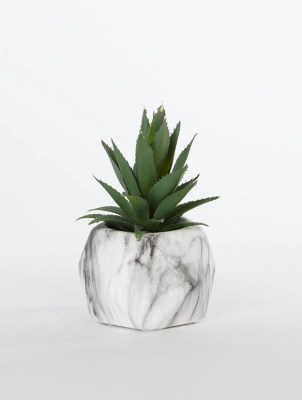 Large Plastic Plant Pots Asda Thuem Garden Plant