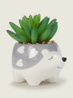 Green Artificial Succulent in Hedgehog Pot Home at ASDA