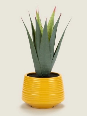 Aloe in Yellow Pot Home at ASDA